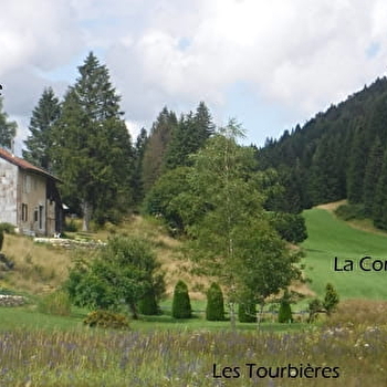 Les Tourbières du Nanchez - R Martinello - GRANDE-RIVIERE CHATEAU