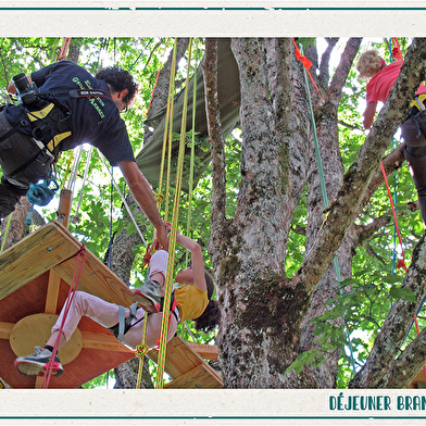 Terres et Cimes - grimpe d'arbres & animations nature
