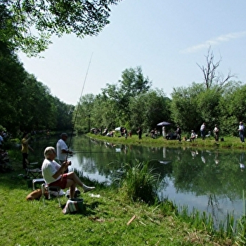 GAEC des Truites de l'Aube - VEUXHAULLES-SUR-AUBE