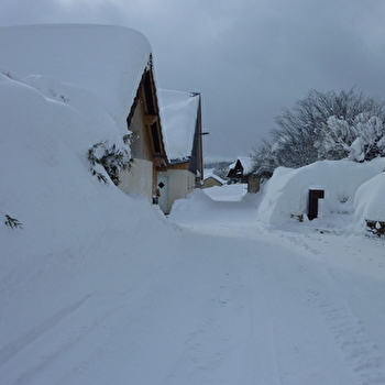 Appartement - Gite Au Bon Coin - SAINT-ANTOINE