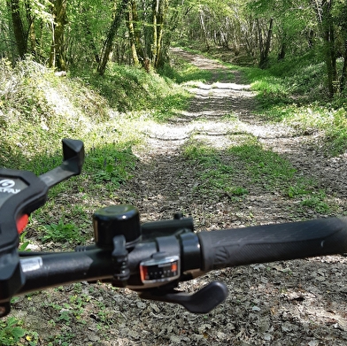 Liaison VTT-VTC (L) entre Bresse et Revermont
