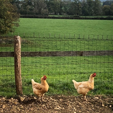 les Lumières d’Isa
