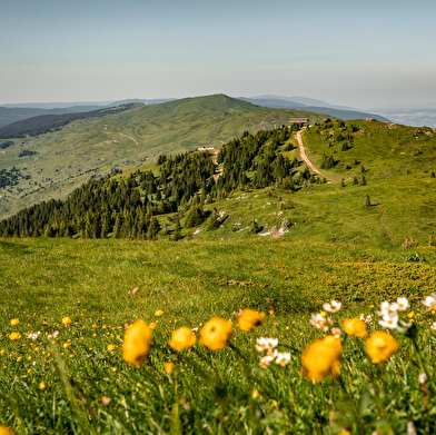 Grande Traversée du Jura à pied : De la Borne au Lion à Culoz
