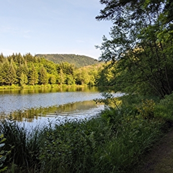 Le Grand Rosbeck - MELISEY