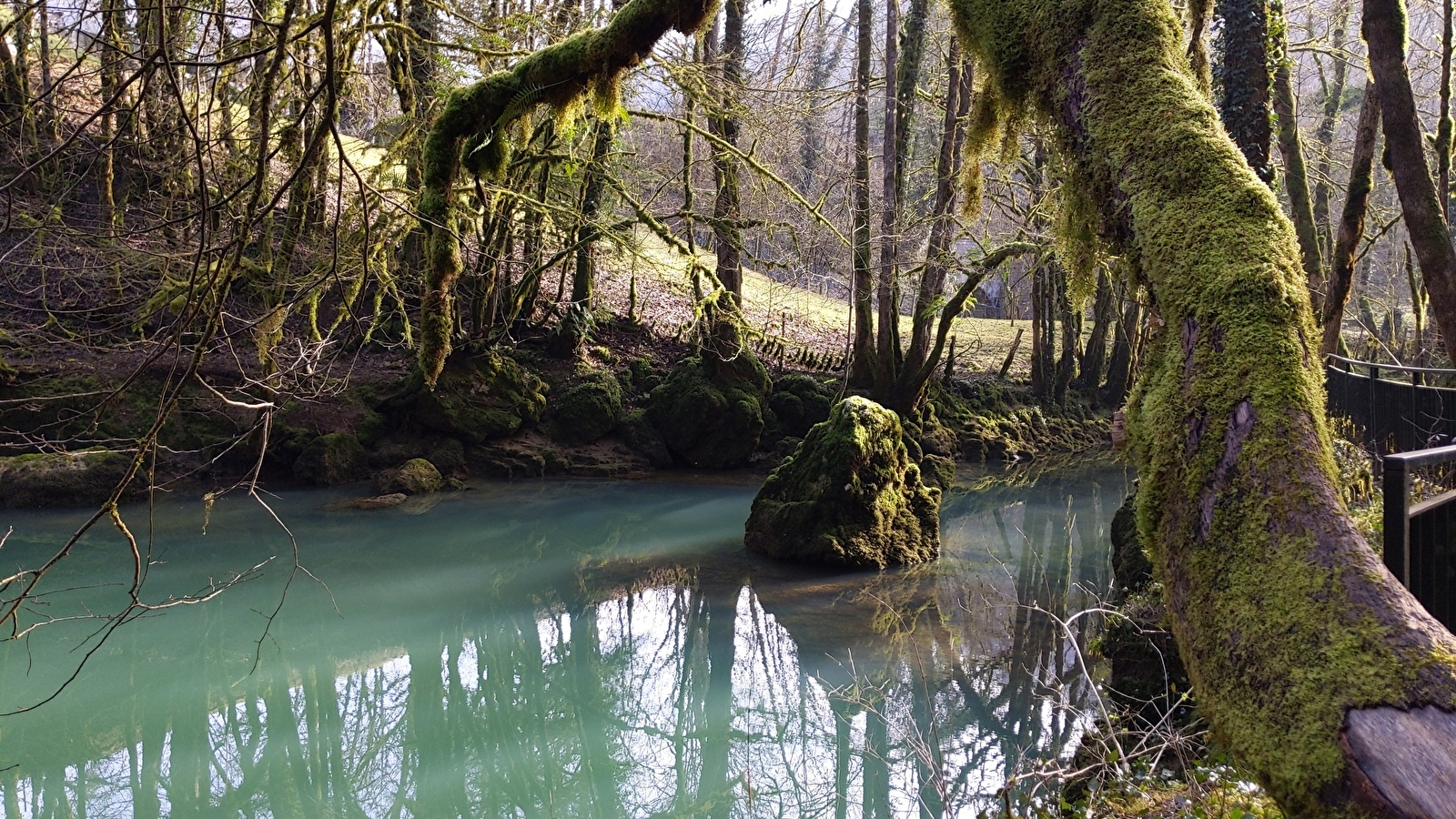 Sentier Courbet 7 : L'école de la nature
