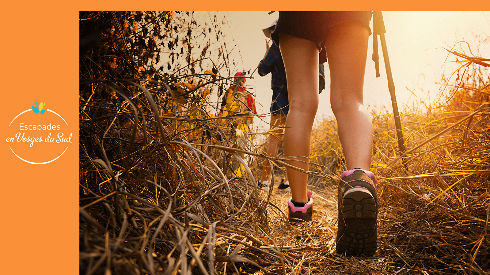 RANDONNÉE - LES CITÉS OUVRIERES 