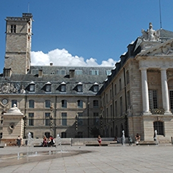 Balade dans Dijon - DIJON