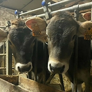 Ferme de l'Abbaye de la Pierre-qui-Vire - SAINT-LEGER-VAUBAN