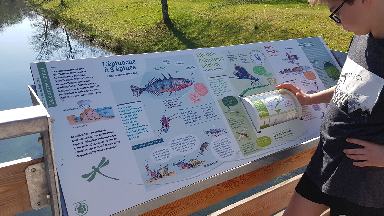 Sentier des anciens méandres du Rhône (ENS de l'Ain)