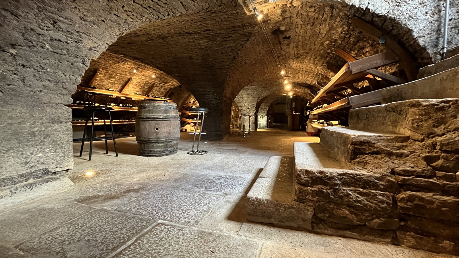 Exposition 'Les Forêts en Souffrance' & Dégustation de vins
