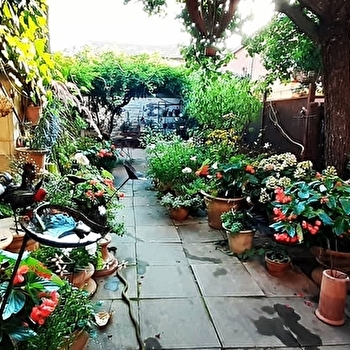 La Poterie de Saint-Amour - SAINT-AMOUR-BELLEVUE