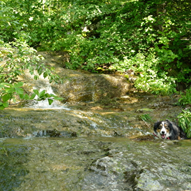 Les 3 cascades - Parcours de trail n°16