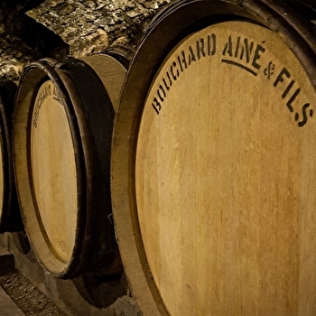 Maison Bouchard Aîné & Fils - Le Parcours des 5 Sens - BEAUNE
