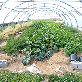 La Ferme d'Erwan - CHENAY-LE-CHATEL