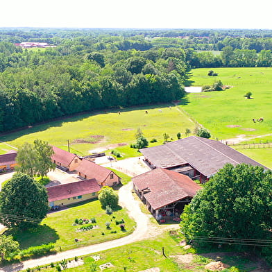 Domaine de la Loge - École d'équitation
