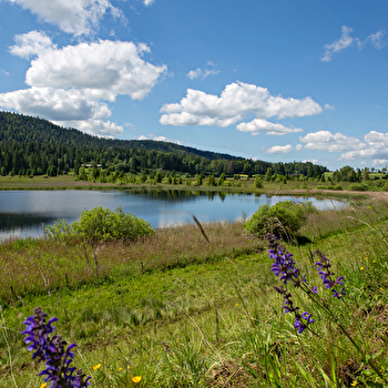 La rando du Tacot - 2 jours en itinérance - SAINT-LAURENT-EN-GRANDVAUX