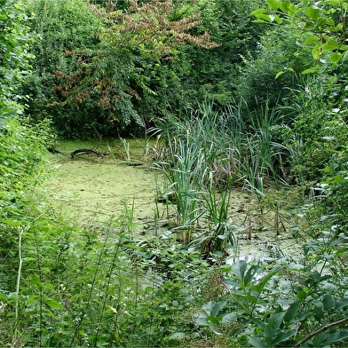 Sources, fontaines et lavoirs