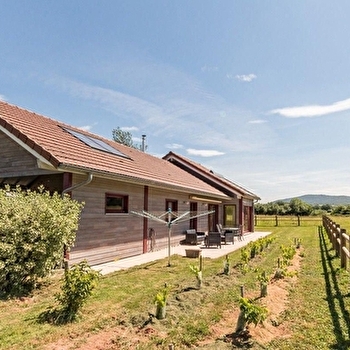 Le Jeune Chêne - FRAHIER-ET-CHATEBIER