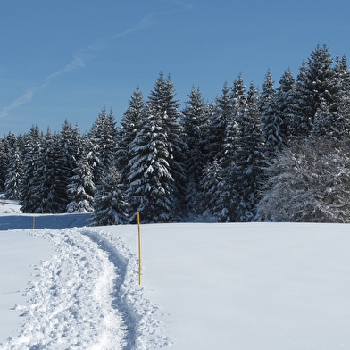 Site Nordique de Nanchez - Prénovel, Chaux des Prés, Les Piards