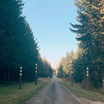 Route des Sapins - LEVIER