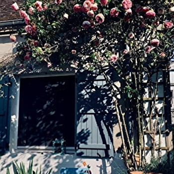 Maison Violette - SAINT-SAUVEUR-EN-PUISAYE