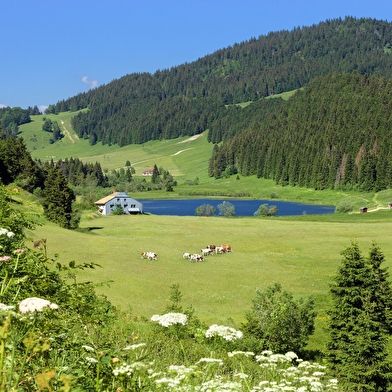 La Grande Traversée du Jura à VTT - GTJ à VTT