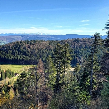 Parcours VTT 62 vert - Le Liaz d'Amont - Espace FFC Ain Forestière - PLATEAU D'HAUTEVILLE