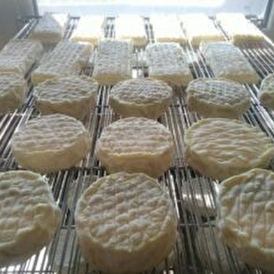 Les fromages de brebis de Coline