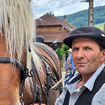 Mors Attelage - MORRE