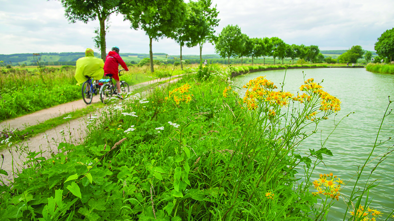 Le long de la Via Francigena