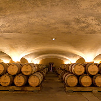 LOUIS JADOT - Visite et dégustation pour célébrer la Vente des vins des Hospices de Beaune 2025 - BEAUNE