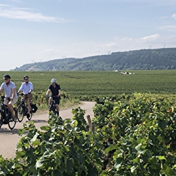 Les trésors de la Bourgogne Nord | 10 jours - AUXERRE