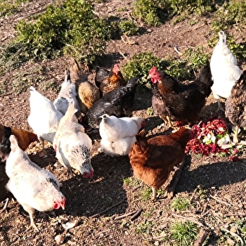 La Ferme des Grands Champs - LA CHAPELLE-SOUS-UCHON