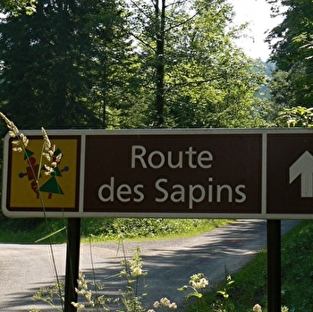 La Route des Sapins - EQUEVILLON