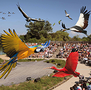Circuit l'Ain à vélo - De Villars-les-Dombes à Ars-sur-Formans - VILLARS-LES-DOMBES