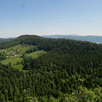 Randonnée - Le Belvédère de Planachat - PLATEAU D'HAUTEVILLE