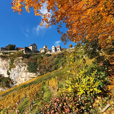 Le Vignoble du Château-Chalon