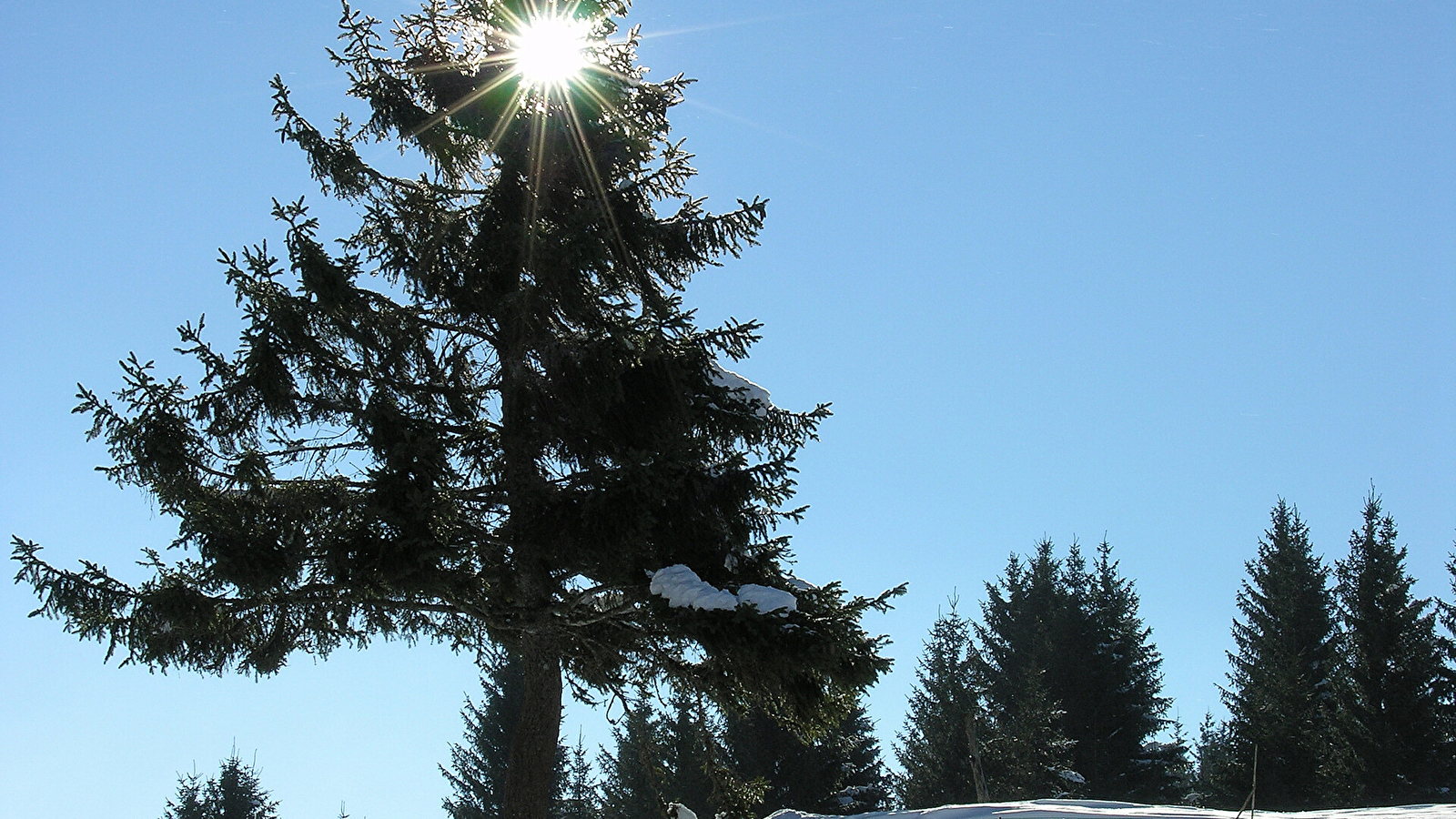 Site Nordique de Gilley