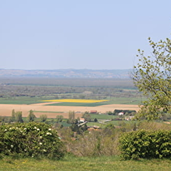 Belvédère de la colline Saint-Martin-de-Laives - LAIVES