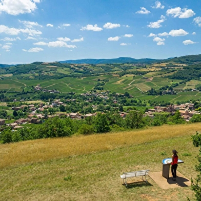 Escapade nature - De Mâcon Loché à La Grange du Bois