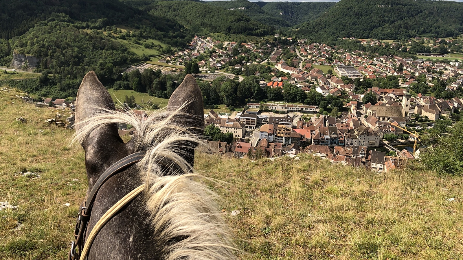 Loue Caval - Éthologie Équitation d'extérieur