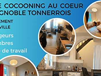 Home cocooning au cœur du vignoble Tonnerrois - TONNERRE
