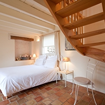 La terre d'Or - Les Pins - BEAUNE