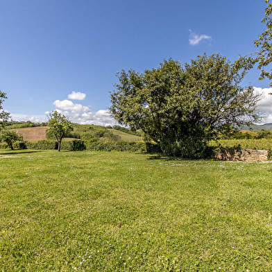 Au coeur du vignoble
