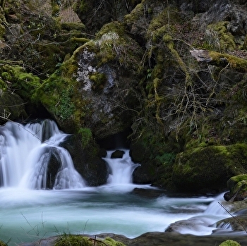 GR® de Pays Loue Lison - ORNANS