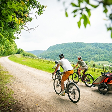 La Voie PLM Perrigny Chatillon