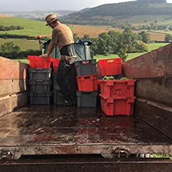VELOVITAMINE - Découverte des vignobles de l'Auxois à vélo- Bourgogne - AVOSNES