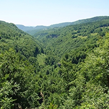 Les Myrtilles - HAUTS DE BIENNE