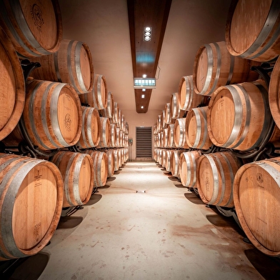 Cave coopérative d'Azé