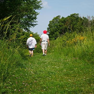 Balade en famille : le sentier-nature du Coteau du Chaumois